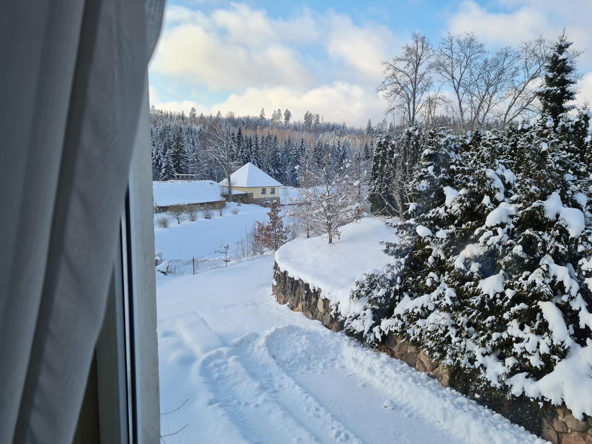 Hotel Bille Pokoj fotografie